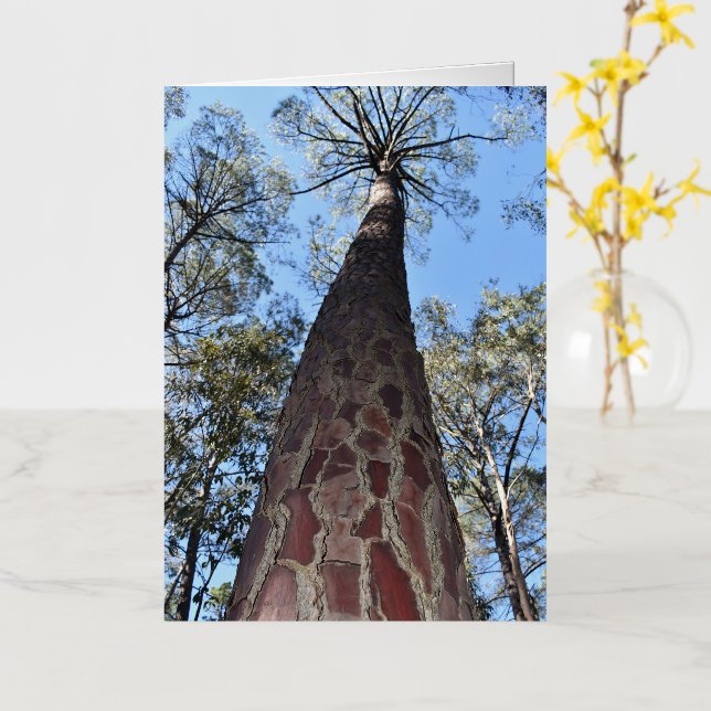 Tarjeta de felicitación La Gerche Ponderosa Pine B (flor amarilla)