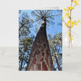 Tarjeta de felicitación La Gerche Ponderosa Pine B