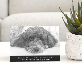 Tarjeta de felicitación Labradoodle Sympathy