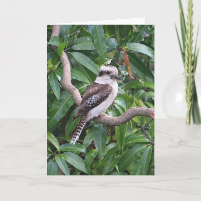Tarjeta de felicitación Laughing Kookaburra (Anverso)