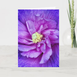 Tarjeta de felicitación Lavender Chiffon Hibiscus 