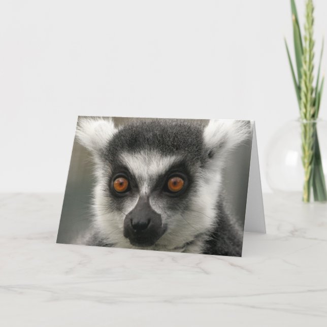Tarjeta de felicitación Lemur Face (Anverso)