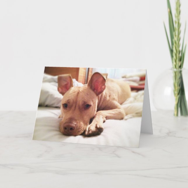 Tarjeta de felicitación Leon plegada (Anverso)