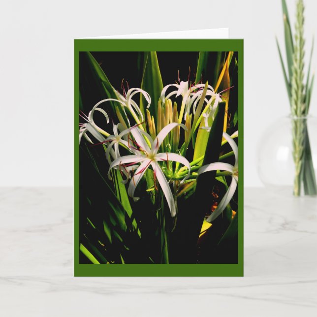 Tarjeta de felicitación Lilies (Anverso)