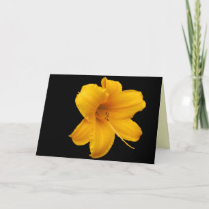Tarjeta de felicitación Lilies and Daffodils