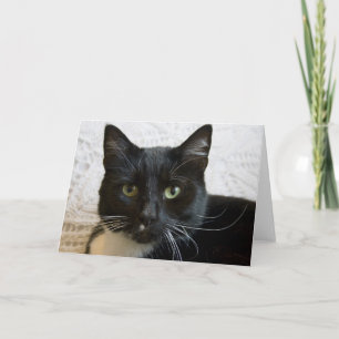 Tarjeta de felicitación: Lilly