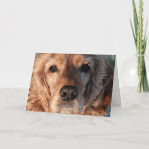 Tarjeta de felicitación linda del perro de aguas