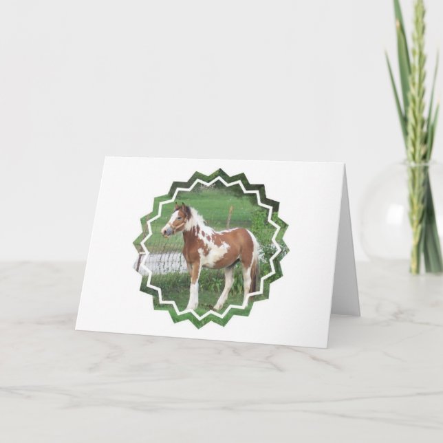 Tarjeta de felicitación linda del potro de la (Anverso)