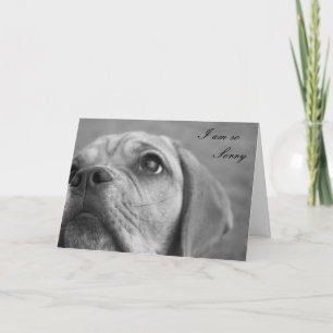 Tarjeta de felicitación linda triste del perrito
