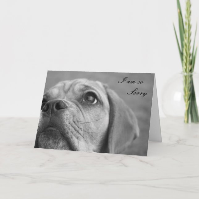 Tarjeta de felicitación linda triste del perrito (Anverso)