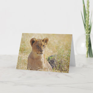 Tarjeta de felicitación Lion Cub