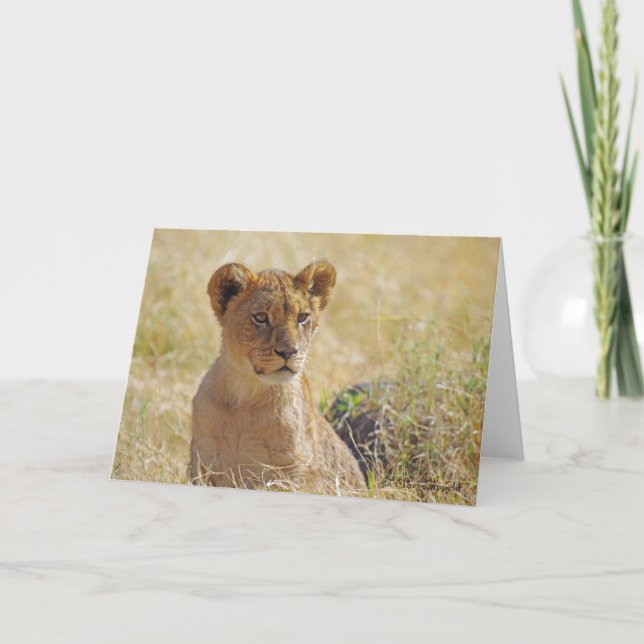 Tarjeta de felicitación Lion Cub (Anverso)