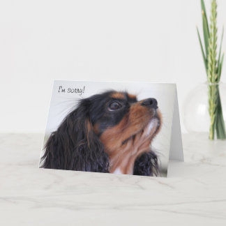 Tarjeta de felicitación - lo siento