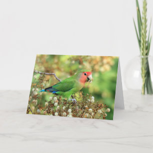 Tarjeta de felicitación - Lovebird Atractivo-hecho