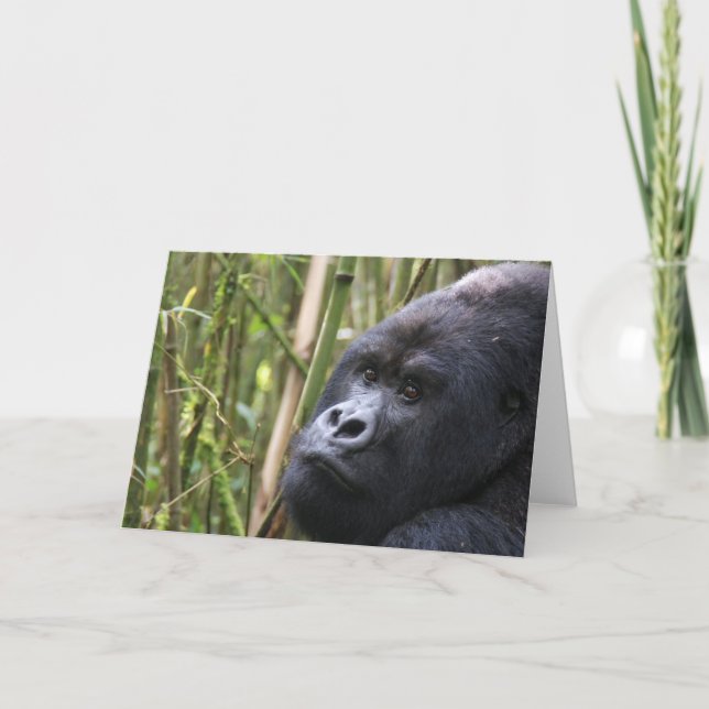 Tarjeta de felicitación Lowland Gorilla (Anverso)