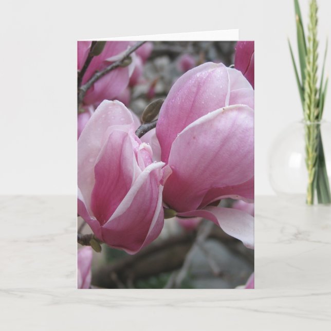 Tarjeta de felicitación Magnolia (Anverso)