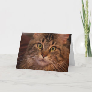 Tarjeta de felicitación Maine Coon