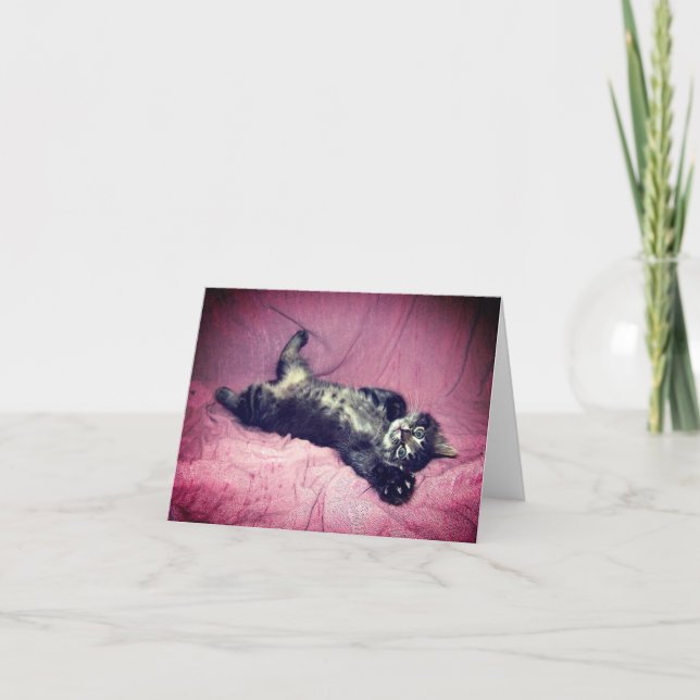 Tarjeta de felicitación Maine Coon Cat Kitten (Anverso)