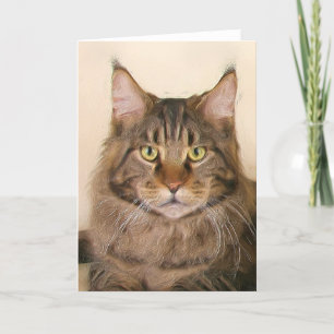 Tarjeta de felicitación Maine coon Cats