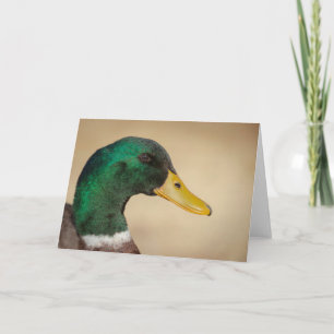 Tarjeta de felicitación Mallard Drake