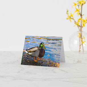 Tarjeta de felicitación Mallard Duck