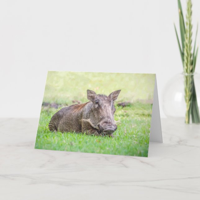 Tarjeta de felicitación maravillosa de Warthog (Anverso)
