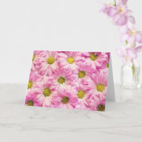 Tarjeta de felicitación - margaritas rosadas del