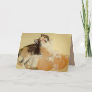 Tarjeta de felicitación Meow Cats 5