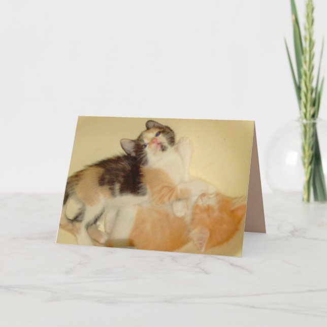 Tarjeta de felicitación Meow Cats 5 (Anverso)