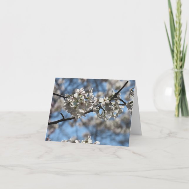 Tarjeta de felicitación Mesmerizing Cherry Blossom (Anverso)