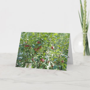 Tarjeta de felicitación "Mirando hacia el árbol de