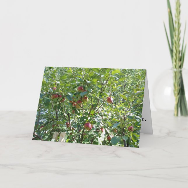 Tarjeta de felicitación "Mirando hacia el árbol de (Anverso)