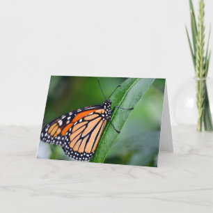 Tarjeta de felicitación Monarch