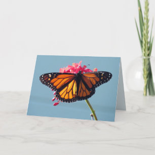 Tarjeta de felicitación Monarch Butterfly