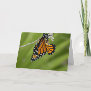 Tarjeta de felicitación Monarch Butterfly Blank
