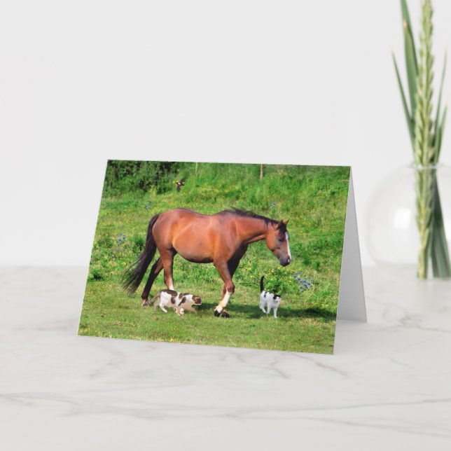 Tarjeta de felicitación "Morning Stroll" (Anverso)