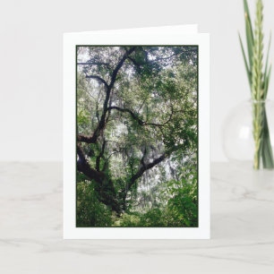 Tarjeta de felicitación Moss Canopy