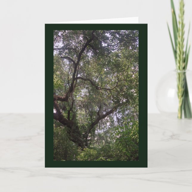 Tarjeta de felicitación Moss Forest Canopy Persona (Anverso)