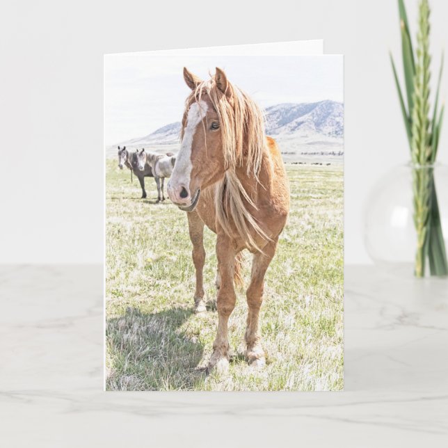 Tarjeta de felicitación Mustang para Caballos Salv (Anverso)