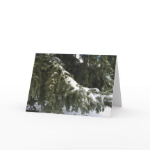 Tarjeta de felicitación navideña