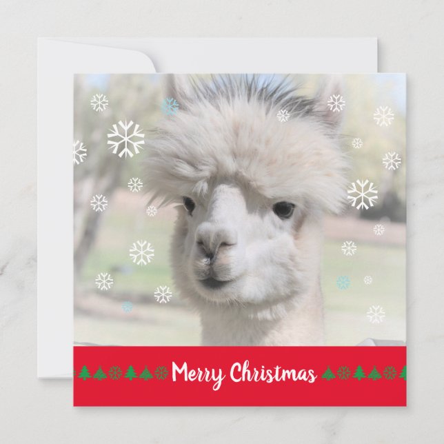 Tarjeta de felicitación navideña Alpaca Merry (Anverso)