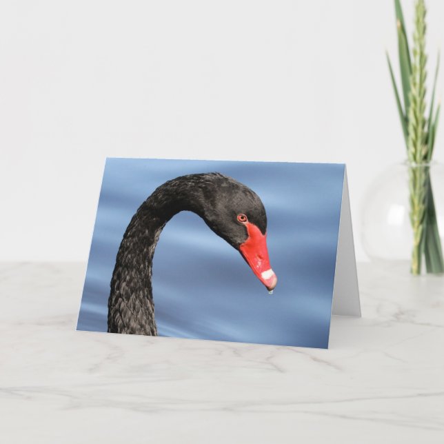 Tarjeta de felicitación negra de la belleza (Anverso)