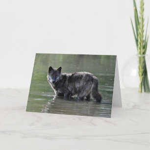 Tarjeta de felicitación negra del lobo