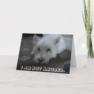 Tarjeta de felicitación no divertida de la foto de