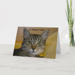 Tarjeta de felicitación: no era mi gato 2