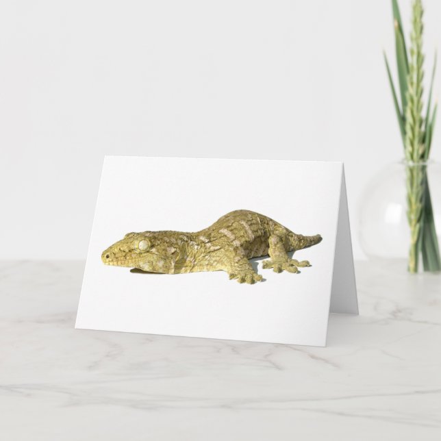 Tarjeta de felicitación - nuevo Gecko gigante (Anverso)