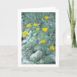 Tarjeta de felicitación o tarjeta de nota de las f