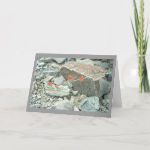 Tarjeta de felicitación o tarjeta de notas del des