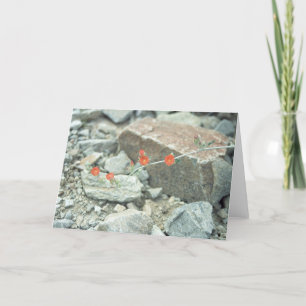 Tarjeta de felicitación o tarjeta de notas del des