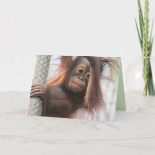 Tarjeta de felicitación Orangutan para bebés